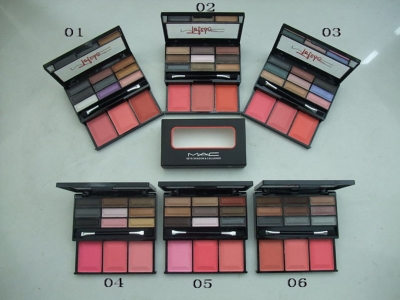 MAC Makeup Store 9 Colors Eye shadow & 3 Blusher Online
